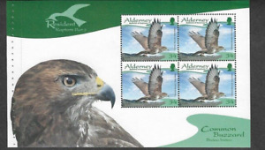 Common Buzzard-raptors 2008 booklet pane-Birds of Prey -Alderney-