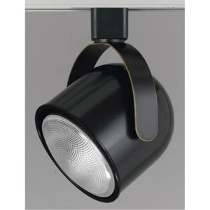 Cal Lighting HT-197-DB 1-Light Line Voltage Adjustable Track Head for HT Series - Picture 1 of 5