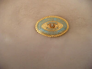 SP- MIZRACHI-HAPOEL HAMIZRACHI LIFE MEMBER WOMEN'S ORG OF CANADA PIN #38122 - Picture 1 of 2