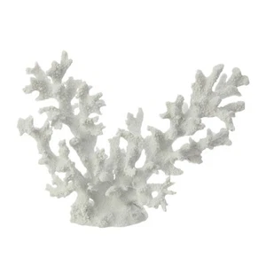 RAZ Imports ~ 12" weiße Meereskoralle ~ Strand Ozean maritime Küste ~ Cottage House Chic - Bild 1 von 1