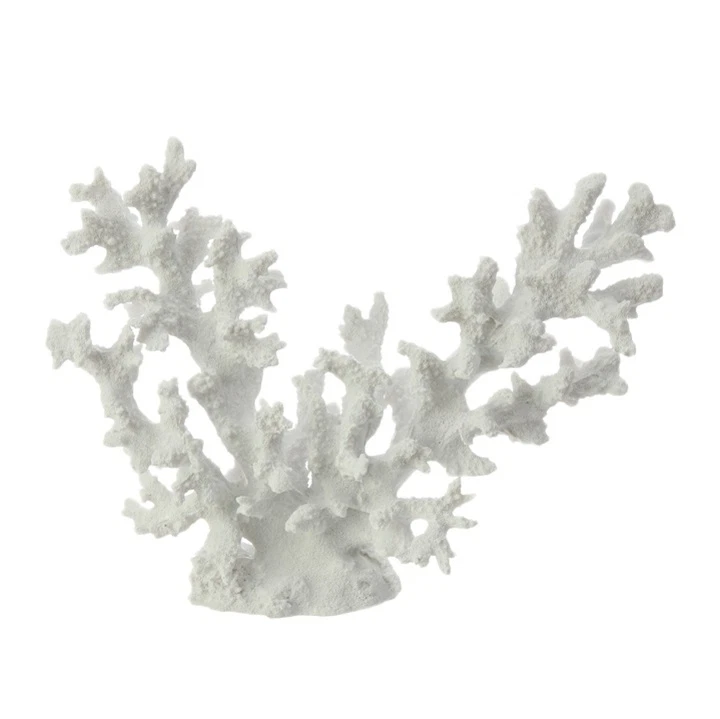 RAZ Imports~12" Coral Mar Blanco~Playa Océano Náutico Costero~Casa de Campo Elegante Foto 1 de 1