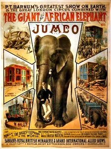 Jumbo riesiger afrikanischer Elefant Zirkus Posterdruck 11 x 17 Giclee Druck - Bild 1 von 1