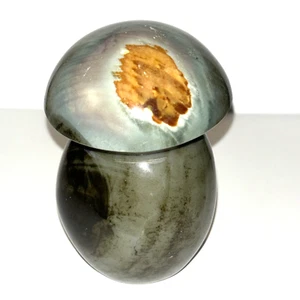 4" Polychrome Jasper Mushroom Carved Polished Standup - Madagascar - US Seller - Picture 1 of 6