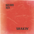 Black River Delta Shakin Vinyl 12 Album