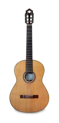 APC 9C Guitare de Concert Entièrement Massif Neuf - Photo 1/4