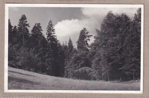 Ansichtskarte Neustadt/Orla - Landschaft im Ortsteil Stanau - schwarz/weiß - Picture 1 of 2