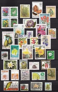 101397/ Blumen und Pflanzen - schönes Lot - o - nichts gerechnet - siehe scan - Picture 1 of 1