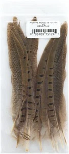 Zucker Ringneck Pheasant Tails 6"-8" 10/Pkg-Natural - Picture 1 of 1