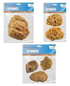 Sea Wool Brushes - Picture 1 of 1