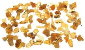 Amber Collection Set Gdansk Poland Rough Raw 98 Pieces 18 Grams 8-18mm - Picture 1 of 1