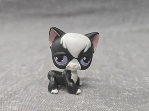 Littlest Pet Shop LPS schwarze Langhaarkatze 55 grüne Augen DMG Schwanz - Bild 1 von 3