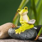 Adorable ornement en résine de grenouille idéal pour la décoration d'étang e
