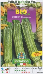 Das Knochenmark Romanesco Spezielle - Samen Gartenbau - Picture 1 of 1