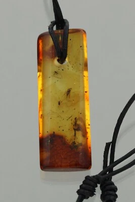 5 Fossil INSECTS 正品波罗的海琥珀可调节皮革吊坠 6.1 克 220825-4 — 第 1/4 张图片