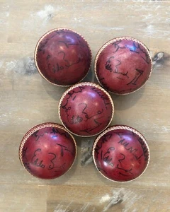 Cricket Ball SIGNED by c2000 Zimbabwe National Cricket Team Bowlers -(AUTHENTIC) - Picture 1 of 9