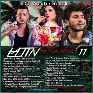 DJ White Rock Latin Mega Mix Pt.11 - Picture 1 of 1