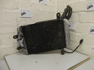 Radiador Suzuki AN250 AN 250 Burgman 1999 - Imagen 1 de 7
