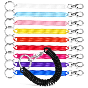 10 Pcs Spring Coil Keychain Keyring Key Chain Cord Stretchy Keychain - Picture 1 of 11