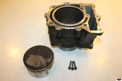 2009 BMW G650 X Country Engine Motor Piston Cylinders Block Jug 11117700201 Foto 1 de 4