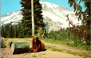 Basura Oso Negro Basura Monte Rainier Parque Nacional Washington Postal UNP - Imagen 1 de 2