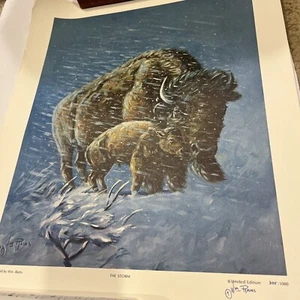 William Rains Signed Print Bison Western Art Storm/crisp Picture/western Art. - Picture 1 of 9