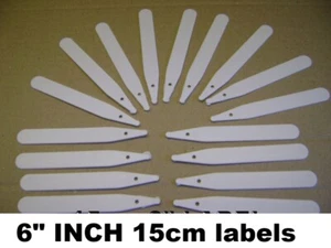 300 X 6" seed labels white plastic plant stick in 15cm tray marker ex value - Picture 1 of 12