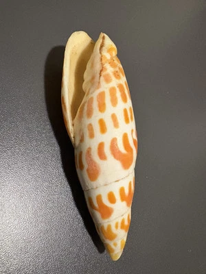 Hermoso inglete episcopal de colección - Mitra Mitra 4,25 pulgadas DISEÑO RARO Foto 1 de 4