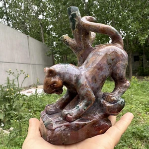 Calavera de leopardo cristal tallado cuarzo jaspe océano natural 2,2 lb decoración regalo - Imagen 1 de 22