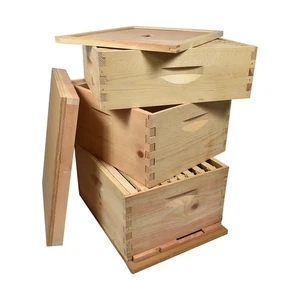 3 Tier BeeHive Kit 2Deep Brood Boxe 1 Super Box 2Frame Honey Extractor GLE3STACK - Picture 1 of 7