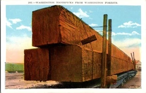 Postal de colección Washington palillos de dientes exagerados Washington tala WA B-79 - Imagen 1 de 2