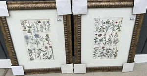Vintage Botanical Prints Wall Art Wooden Frames Set Of 2 20”x24” - Picture 1 of 8