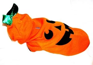 Animal Welfare League Benefit Costume Parade Halloween SIZE S PUMPKIN HOODIE - Picture 1 of 1