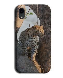 Leopard In A Tree Photograph Phone Case Cover Face Wild African Safari H905