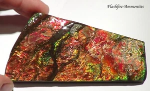 600 Carat.!! I Sammler Ammolite /Drachenschuppe Grün-Golden-Orange   + VIDEO - Bild 1 von 7