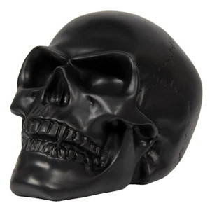 SKULL Head Sculpture Ornament Black Paperweight Home Decor or Headphone Stand - Picture 1 of 12