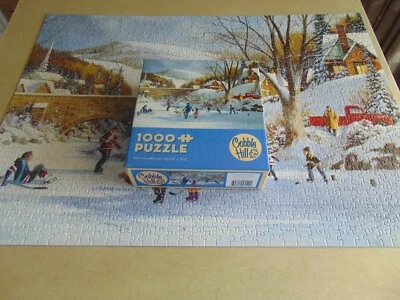 Rompecabezas Cobble Hill Hockey On Frozen Lake 1000 piezas - Completo Foto 1 de 4