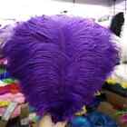 2024 NEW 100 pieces of ostrich feathers, 25-30cm wedding decoration