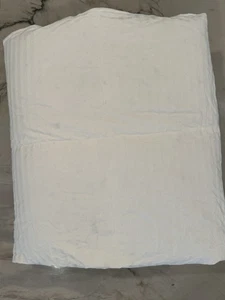 Pottery Barn Kids Premium Down Duvet Insert Full Queen 100% Duck Down - Picture 1 of 7