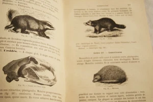 TRAITE ELEMENTAIRE DE ZOOLOGIE A L'USAGE DES ATHENEES ET COLLEGES ILLUSTRE 1890 - Picture 1 of 5