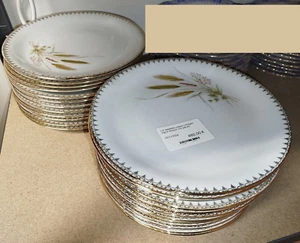 LIMOGES GIRAUD Lot 24 ASSIETTES PLATES Porcelaine Ceramique 48CUIS 20/12 - Imagen 1 de 7