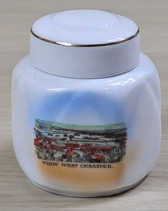 Royal Scenic View West Cessnock Vintage Mustard Pot Screw lid & Spoon - Picture 1 of 12