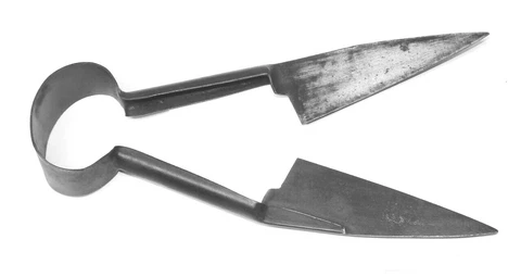 Vintage Garden Tool: 12" Unbranded Sheep Shears / Rustic Farm  Display Item Cover