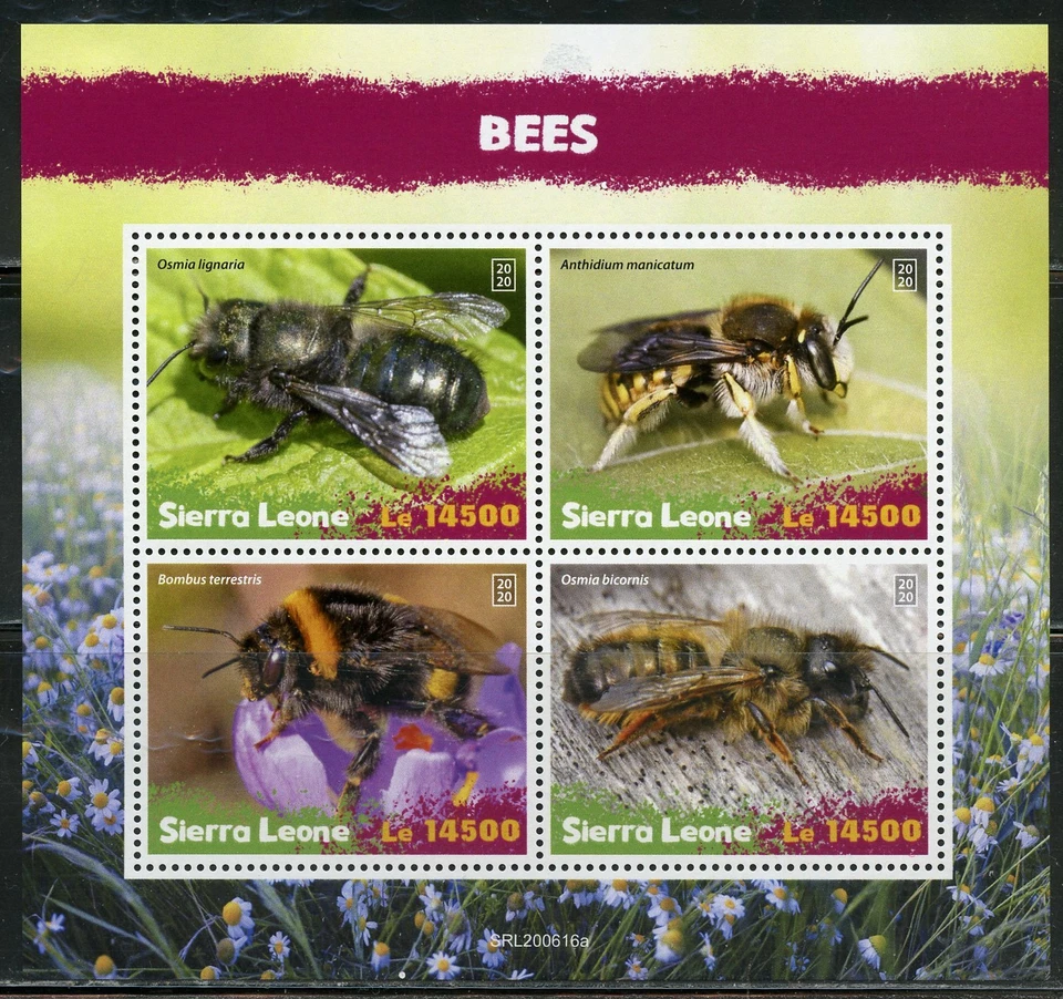 Sierra Leone 2020 Api Foglio Mint Nh - Immagine 1 di 1