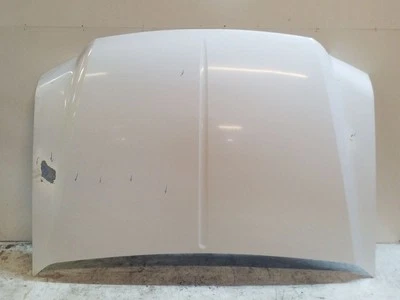 White Hood Panel | Fits 1999-2007 Ford F250 F350 F450 F550 Foto 1 de 4