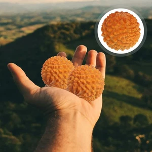 2 Pezzi Palline Massaggio Fitness Cinese Salute Esercizio Mano - Foto 1 di 12