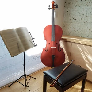 New 4/4 Professional Matt Wood Color Cello +Bag+Bow+Rosin+Bridge for Beginner - Picture 1 of 8