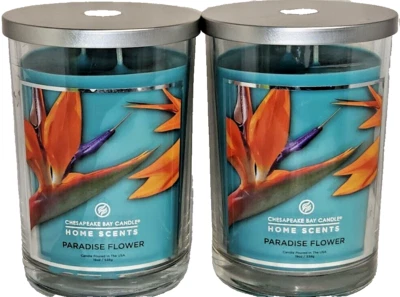 Vela de la bahía de Chesapeake aromas caseros FLOR DEL PARAÍSO 19 OZ. cada lote de 2 Foto 1 de 4