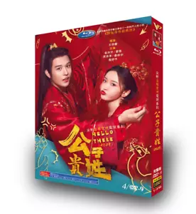 Dramma cinese 2023 Hello There 公形贵姓 DVD-9 inglese sottotitoli regione libera - Foto 1 di 1