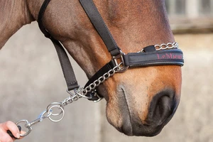 LeMieux Pro-Safe Controller Headcollar Strong Chain Safety Head Collar Halter - Picture 1 of 6