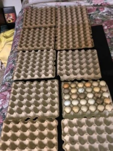 Golf Ball Collection 10 EGG CARTON, Stacks NIcely holds stores 30 golfballs each - Picture 1 of 4
